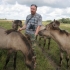 Хозяин лошадиного гарема Эйнарс Нордманис говорит, что дикие кони в Елгаве отлично прижились.